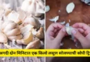 अगदी दोन मिनिटात एक किलो लसूण सोलण्याची सोपी ट्रिक, पाण्याचा असा करा वापर क्षणात होईल काम कमी